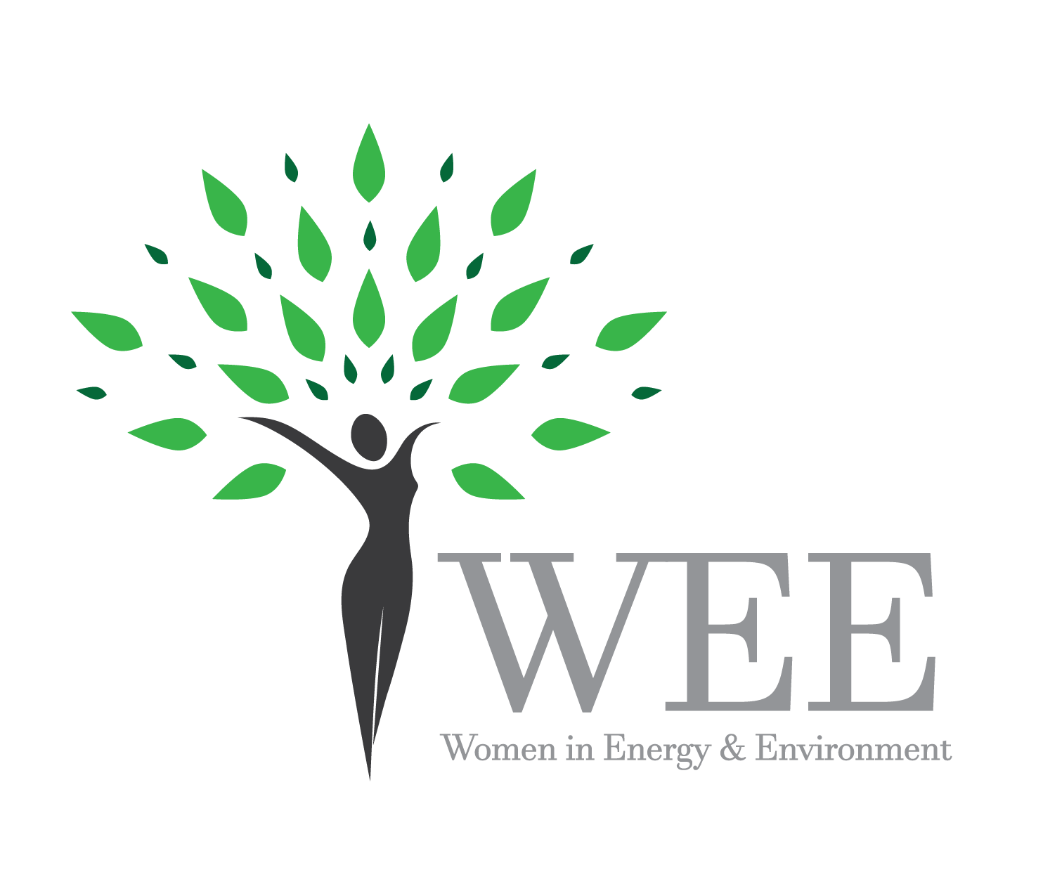 Women in Energy and Environment at MENA Region